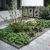 minibild