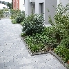 minibild