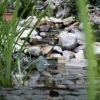 minibild