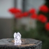 minibild