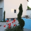 minibild