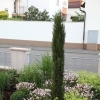 minibild