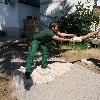 minibild