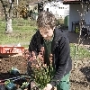 minibild