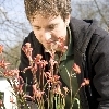 minibild