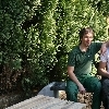 minibild