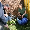 minibild