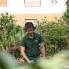 minibild